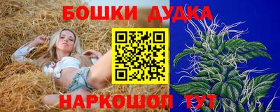 индика Донской
