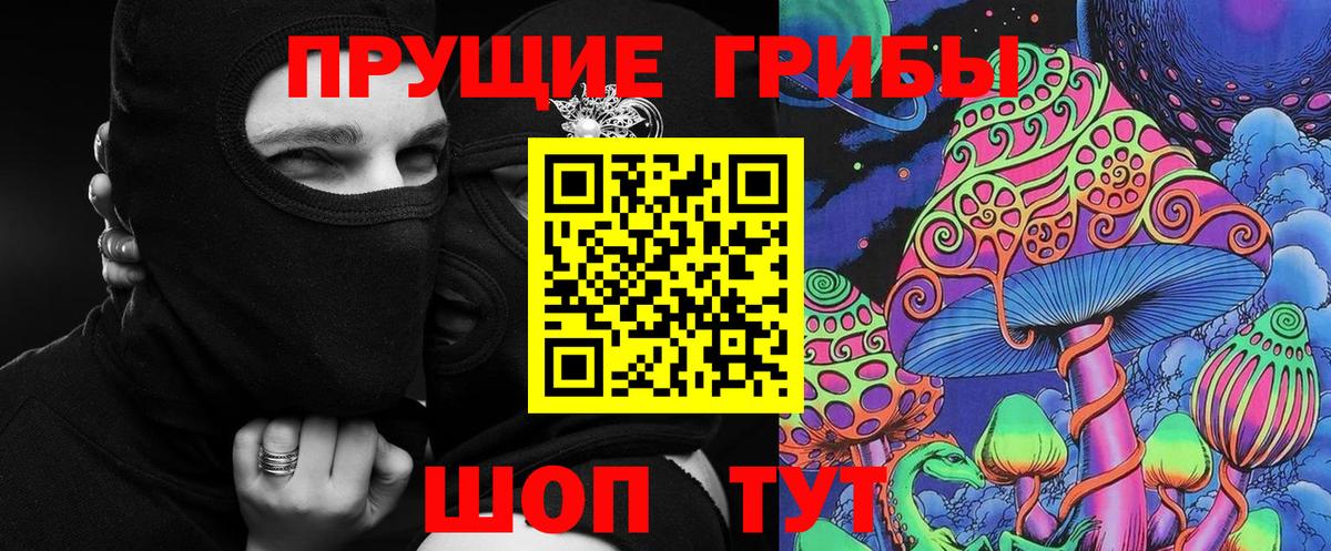 Галлюциногенные грибы Psilocybine cubensis Кувандык